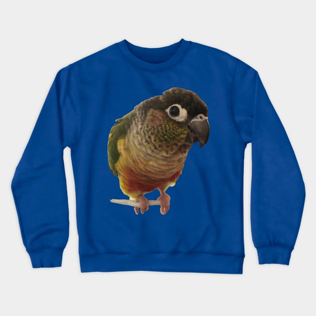 Green Cheek Conure Parrot Bird design, Love for birds Crewneck Sweatshirt by TatianaLG